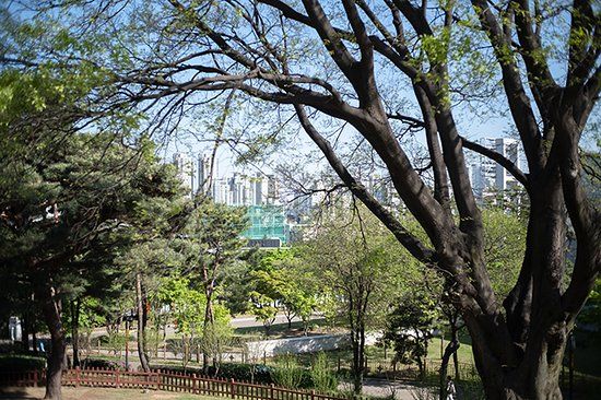 Parque de Hyochang